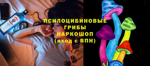 герыч Алексин