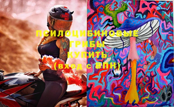 герыч Алексин