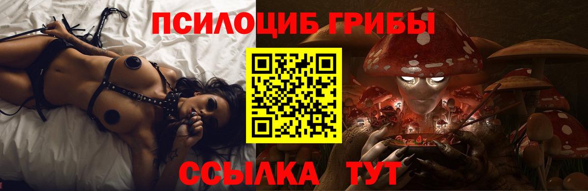 Псилоцибиновые грибы мухоморы Сосновый Бор